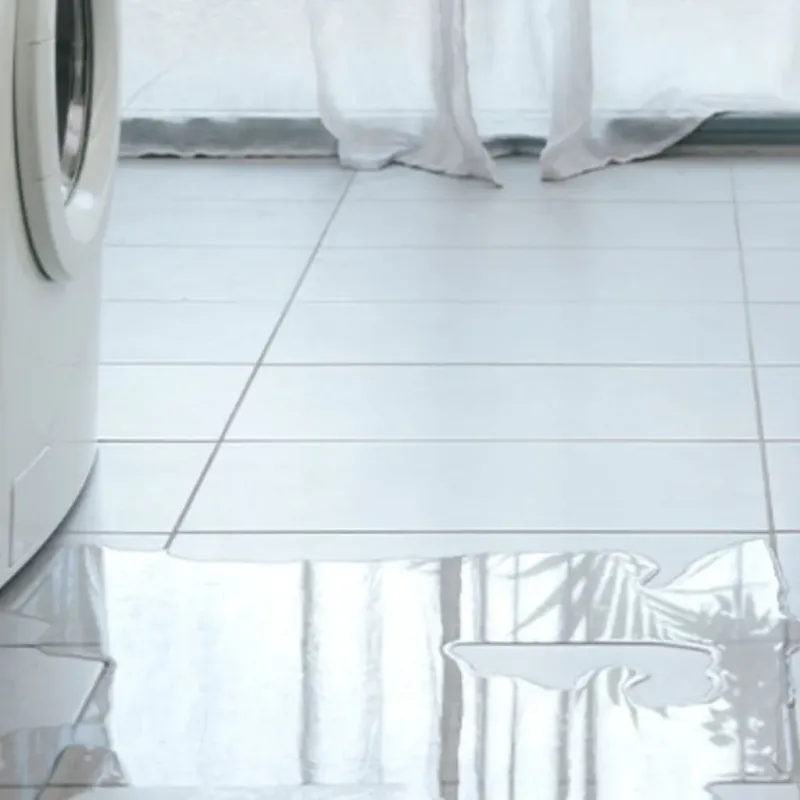 Appliance Leak Cleanup in Shawsville, VA