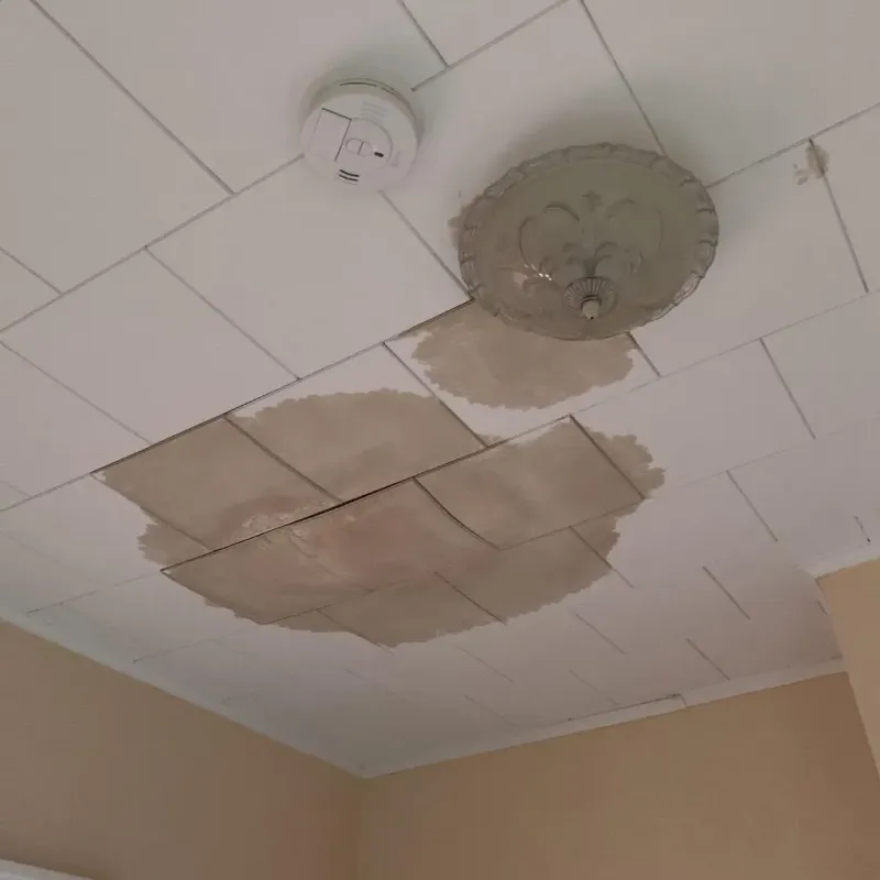Ceiling Water Damage Repair in Shawsville, VA
