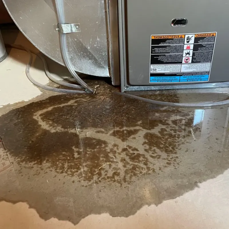 Pipe Burst and Leak Restoration in Shawsville, VA