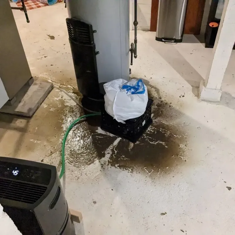 Sewage Backup Cleanup Service in Shawsville, VA